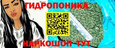 PSILOCYBIN Ставрополь
