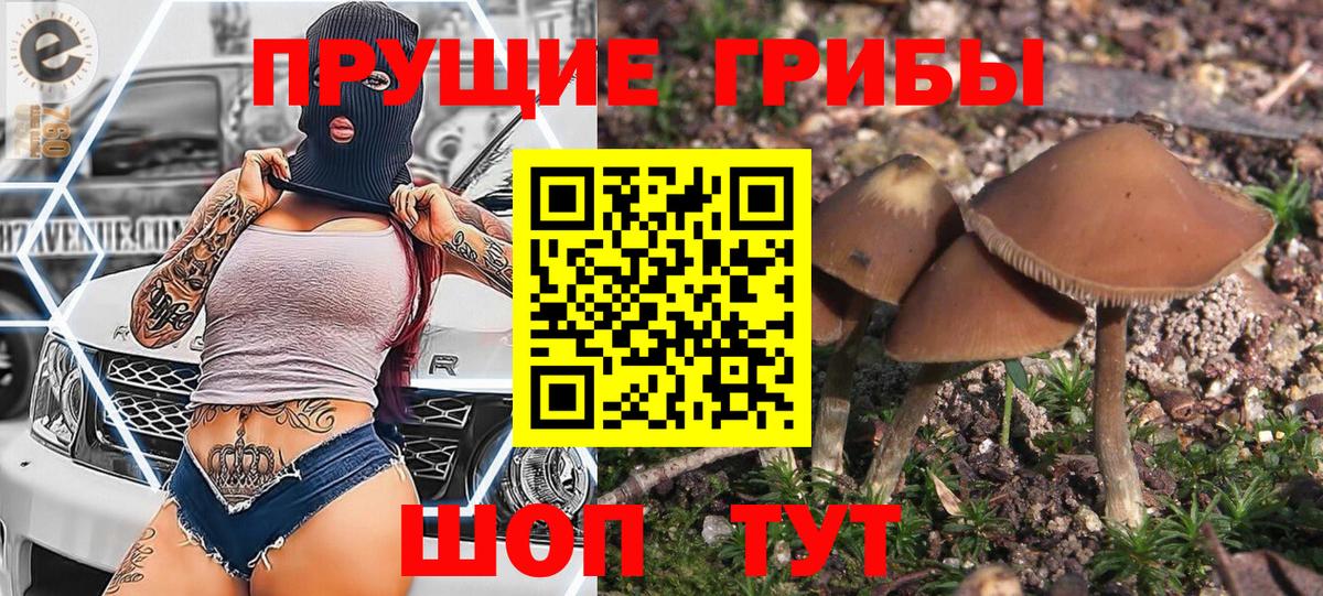Октябрьский  Псилоцибиновые грибы ЛСД  Вход с VPN 